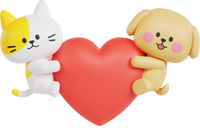 현대해상 펫보험 다이렉트